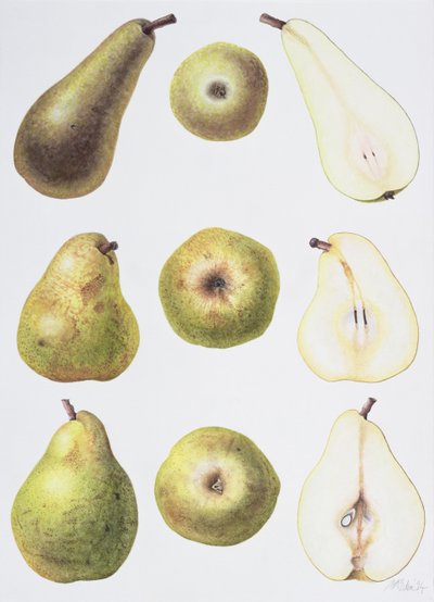 Zes peren, 1994 door Margaret Ann Eden